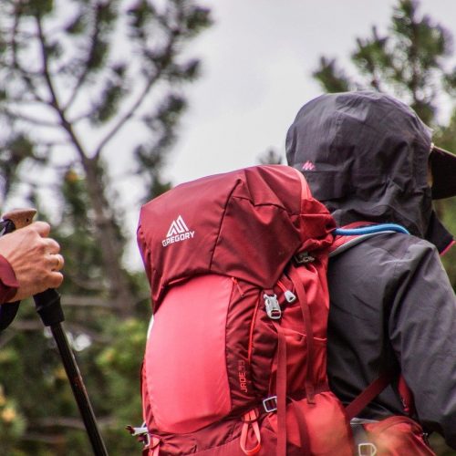 Är det Farligt att gå i Skogen? Säkerhetstips i Naturen